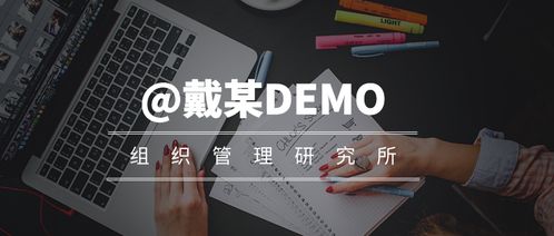 demo组织文化 组织传记的框架写法